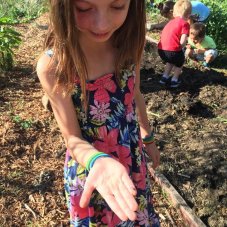 Claire's Montessori International Academy, Orangevale