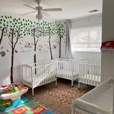 Sweet Tweet Home LLC, Ashburn