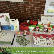 Young Innovators Academy Winter Park, Winter Park