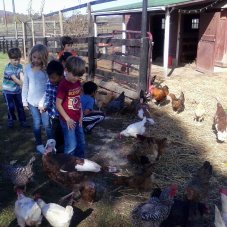 Farmland Child Development Center, Potomac