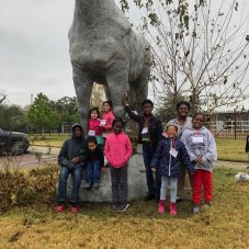 Elite City Kids Child Care and Learning Center, Houston