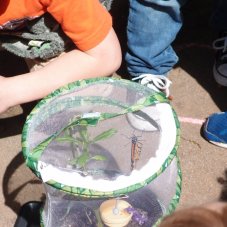 Sequoia Nursery School, Piedmont