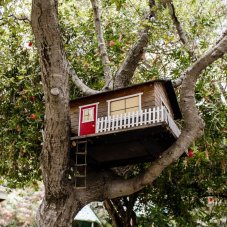 First Covenant Treehouse Preschool, Oakland