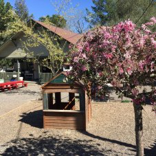 Brush Creek Montessori School, Santa Rosa