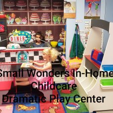 Small Wonders In-Home Childcare, Euclid