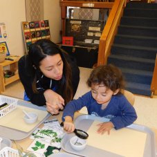 UC CCFS Early Childhood Lab School, Davis