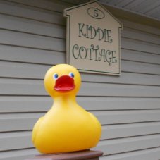 Kiddie Cottage Family Child Care, Hampton Bays