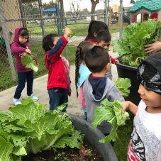 Lulu Blair Kress Preschool, Woodlake