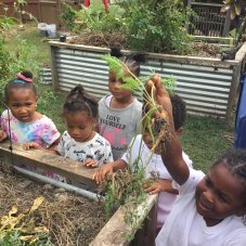 Lots Of Love And Learning Family Child Care, Garner