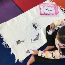 Pinole Montessori, Pinole
