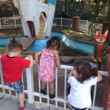 Sunflowers Home Daycare, Piedmont
