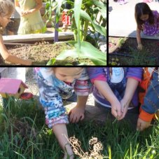 St. Matthias Catholic Preschool, Redwood City