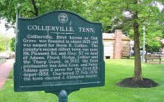 Collierville, TN