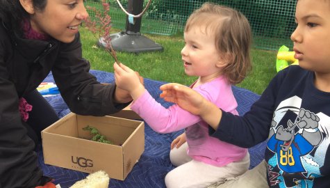 Otter Tots Play and Learn, Norwalk