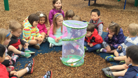 Dearhaven Child Care and Learning Center, Lake Forest
