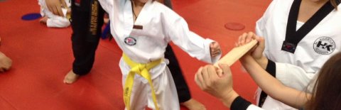 Highkicks Taekwondo and Children's Academy, Chantilly