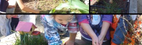 St. Matthias Catholic Preschool, Redwood City