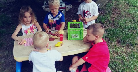 Identify sources of information to support the development of outdoor play image