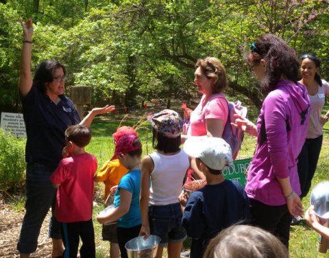 Audubon Nature Preschool, Chevy Chase
