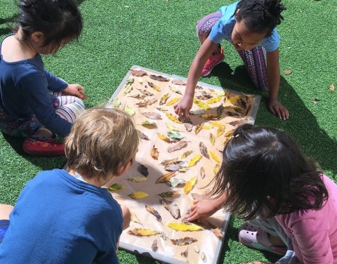 First School Preschool, Palo Alto