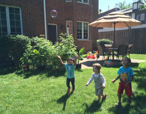 Blooming Buds' Home Day Care, Palatine