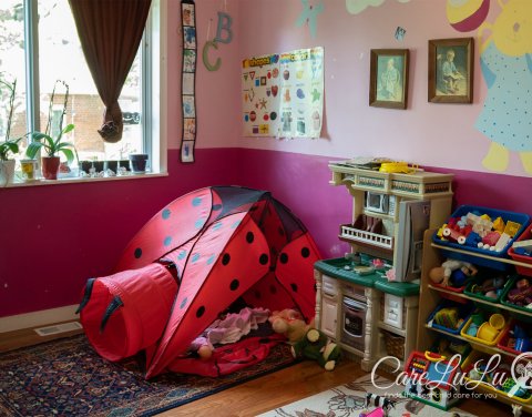 Home Care Agencies In Arlington Va