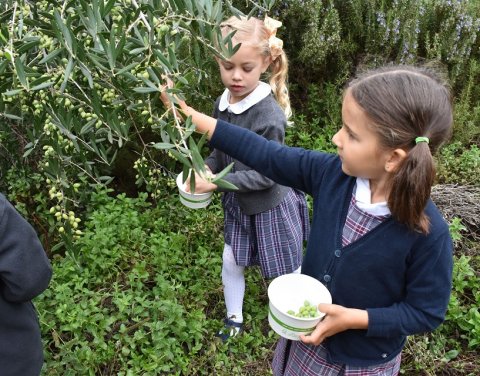 Sacred Heart Preschool and Kindergarten, Atherton