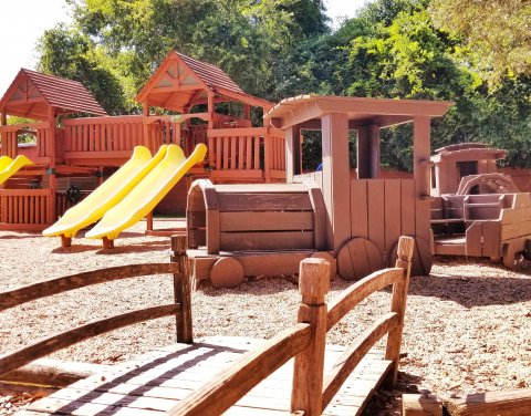 The Montessori Inclusive School, Cedar Park
