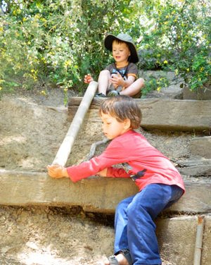 Monteverde School, Berkeley