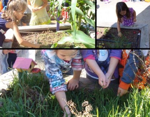 St. Matthias Catholic Preschool, Redwood City