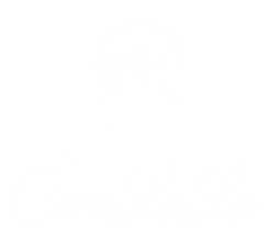 CareLuLu Logo