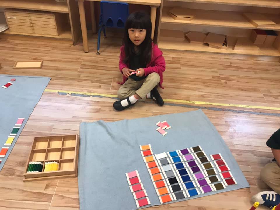 Alpha Montessori School Plano, TX CareLuLu